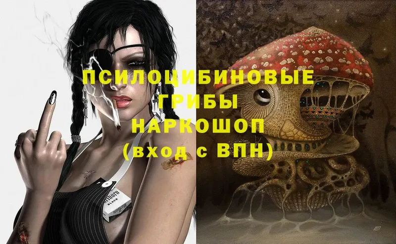 hydra   купить   Пыталово  Галлюциногенные грибы Magic Shrooms 